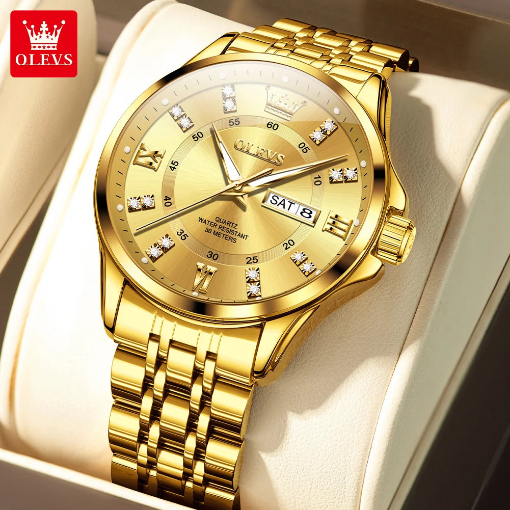 Momentum Lite Lucius